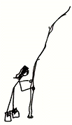 pole