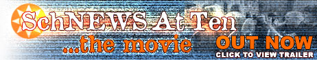SchNEWS At Ten - The Movie - A Decade Of Party & Protest - direct action in Britain and abroad 1990s-2000s